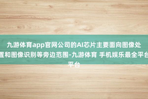 九游体育app官网公司的AI芯片主要面向图像处置和图像识别等旁边范围-九游体育 手机娱乐最全平台